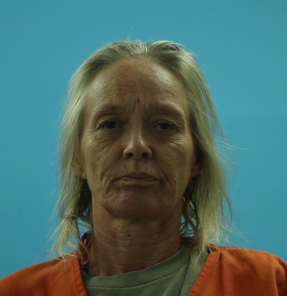 AUSTIN, DAWN LOUISE booking photo
