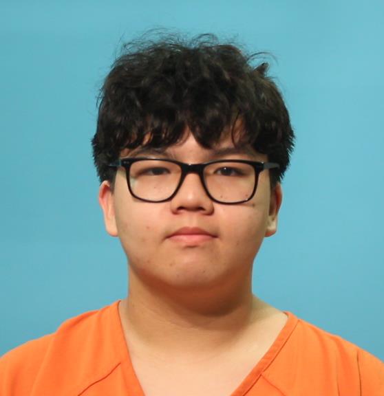 Vu, William booking photo