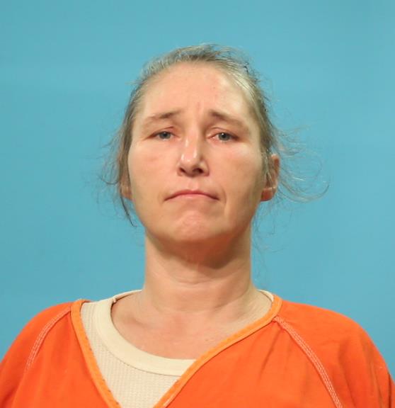 Boyd, Amanda Gail booking photo