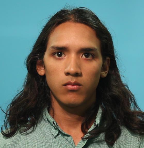 Evans, Lyle, Jr. booking photo