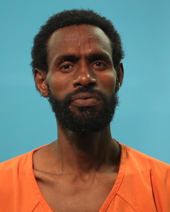 ABRAHA, MERHAWI ADHANOM booking photo