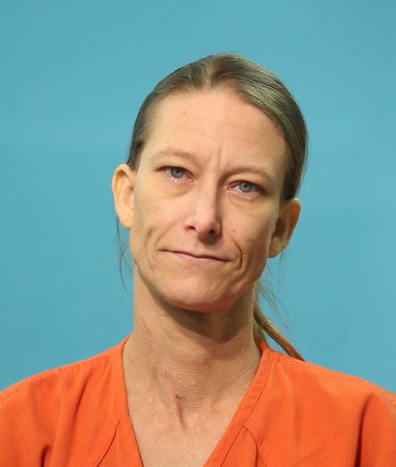 Holcomb, Erika arrested by Brazoria County Sheriff’s Office