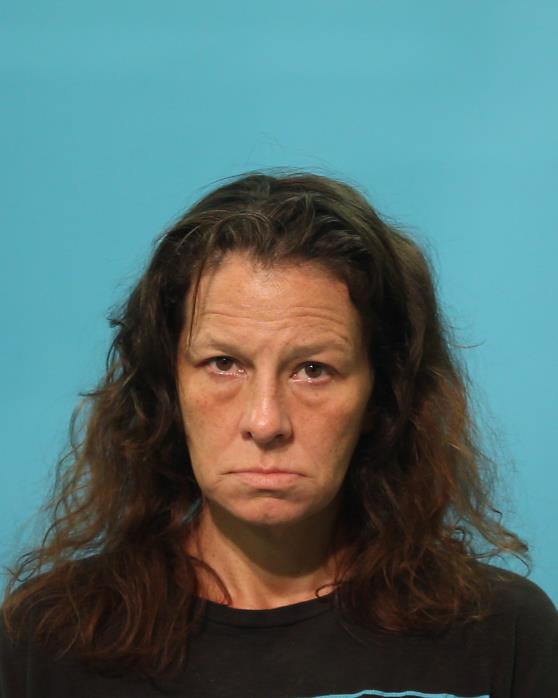LAVIOLETTE, SUZANNE MARIE booking photo