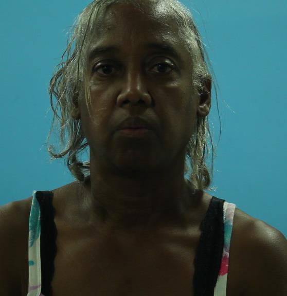 Shanklin, Phyllis Renee booking photo