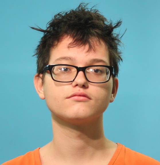 THIBAULT, ROBERT MATTHEW booking photo