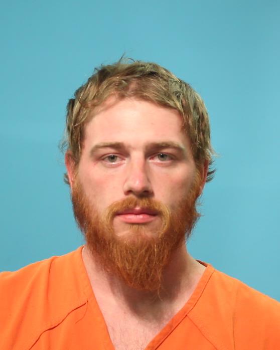 PAULSON, HENRY booking photo
