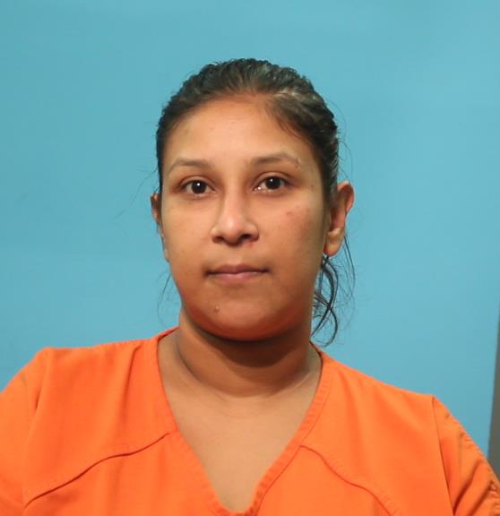 GONZALES, VIRGINIA booking photo