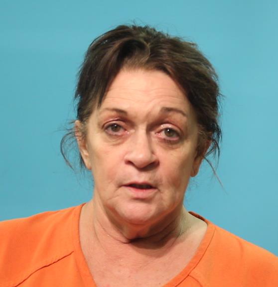 Theis, Dana Hollis booking photo