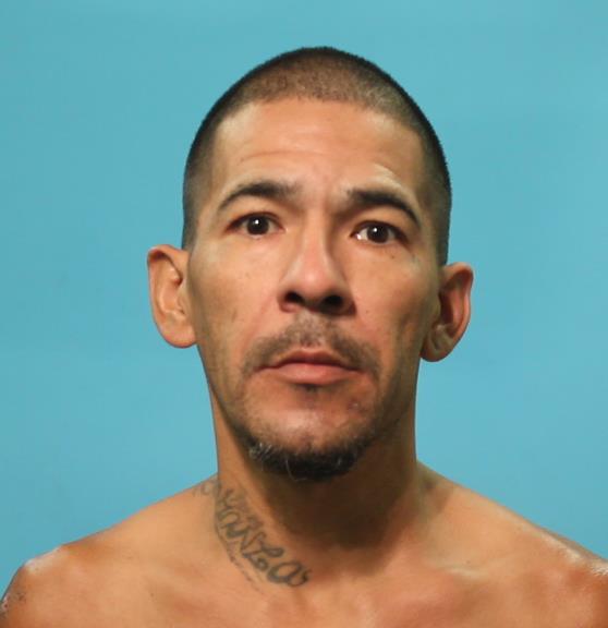 GAUNA, FREDDY booking photo
