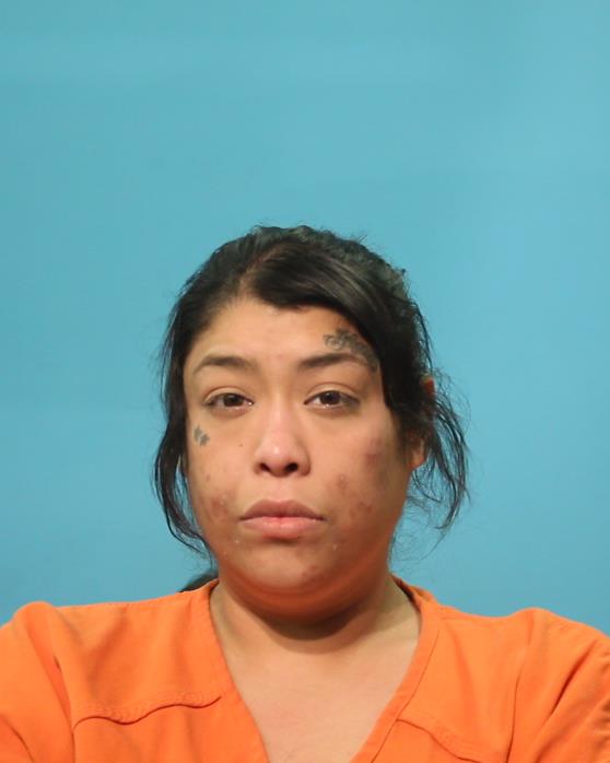 Silbas, Erica Ramona booking photo