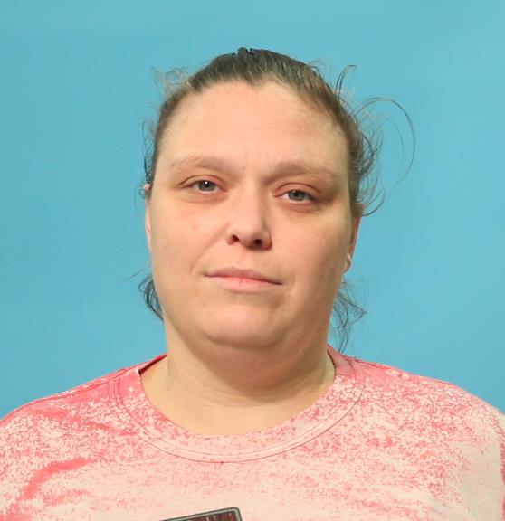 Herman, Whitney Michelle booking photo