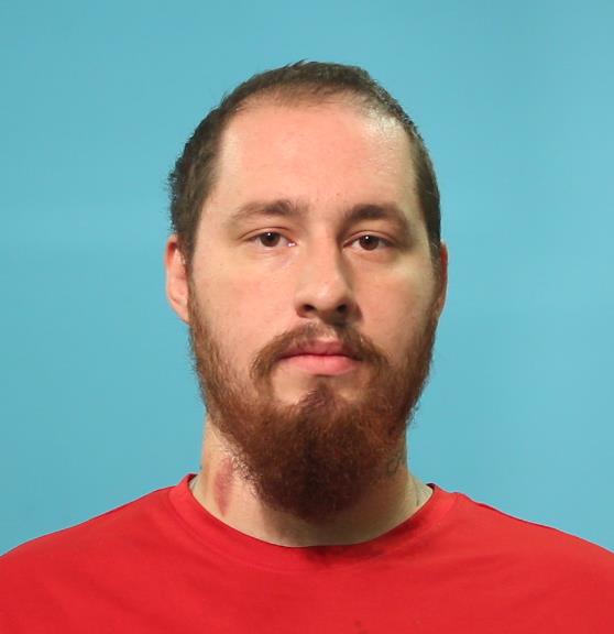 BARNES, ALAN WAYNE booking photo