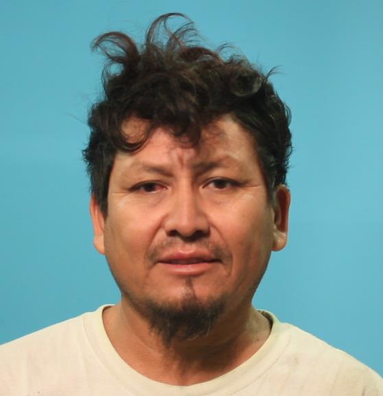 PINEDA-PEREZ, GUADALUPE booking photo