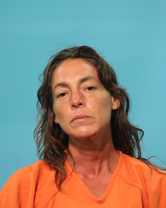 WILLIAMS, KRISTIE NICOLE booking photo