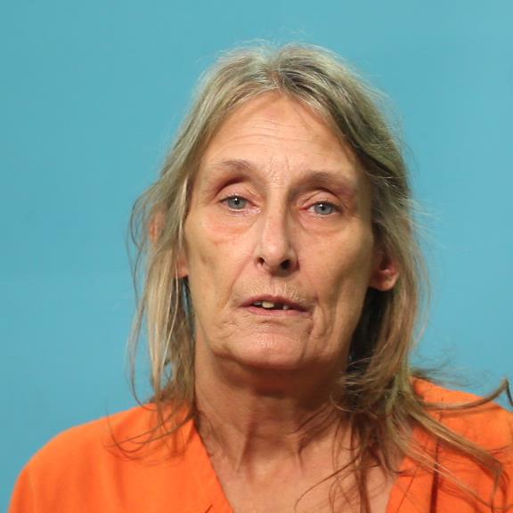 Shaw, Lisa Carol booking photo