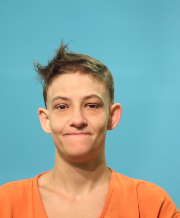 Andel, Ashley Marie booking photo
