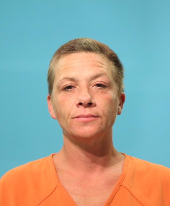 Stout, Tina booking photo