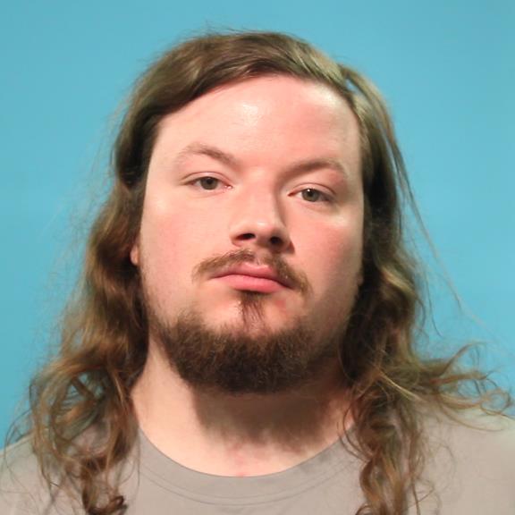 HOGAN, TANNER booking photo