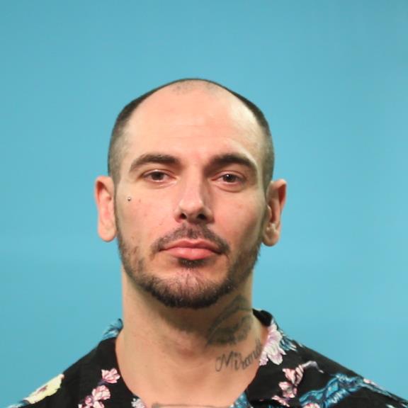 HANEY, DAVID KNIGHT booking photo