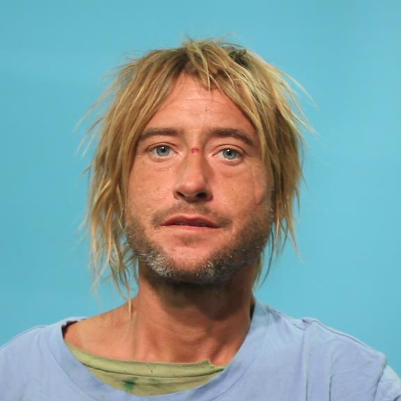 WALZ, BRANDON LEE booking photo