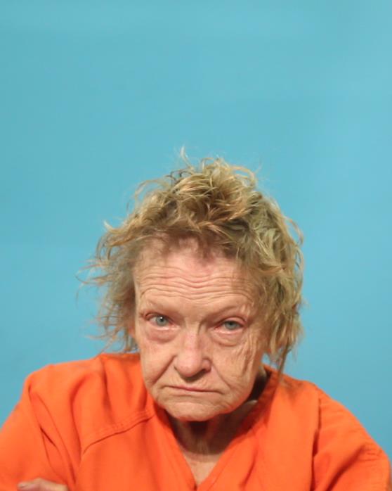 Sims, Deborah Jan booking photo