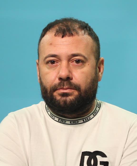 Bulmaci, Gabriel Alin booking photo