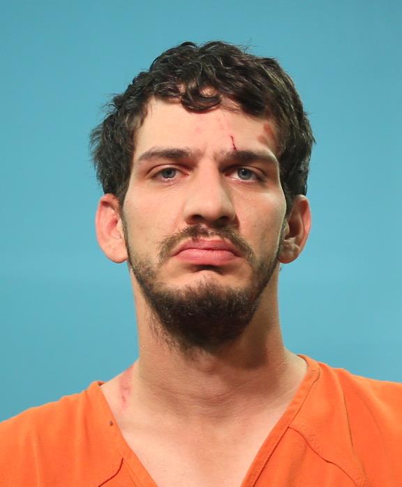 RICCA, TRAVIS LANE arrested by Brazoria County SO/PD