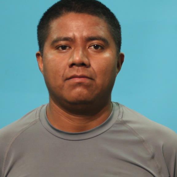 POP TOT, ELIAS booking photo