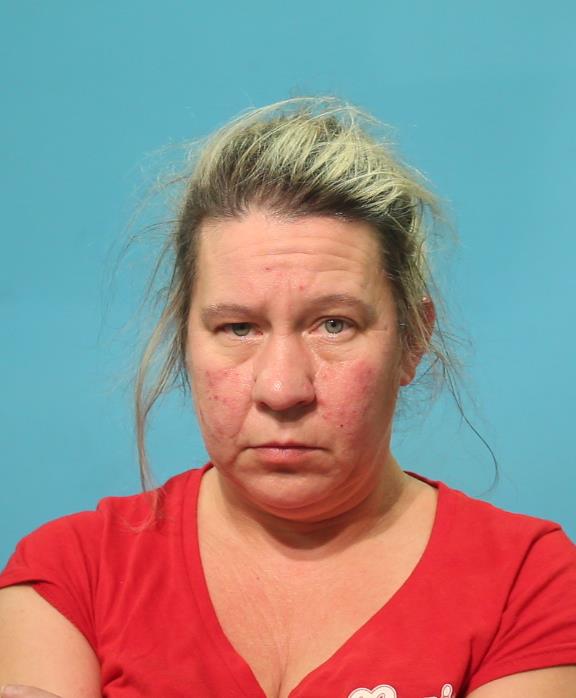 Welhoelter, Shannon Nicole booking photo