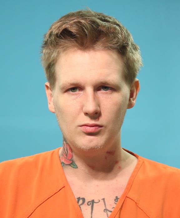Vienneau, Dillon Scott booking photo