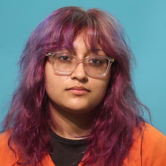 PEREZ, NAOMI ALICIA booking photo