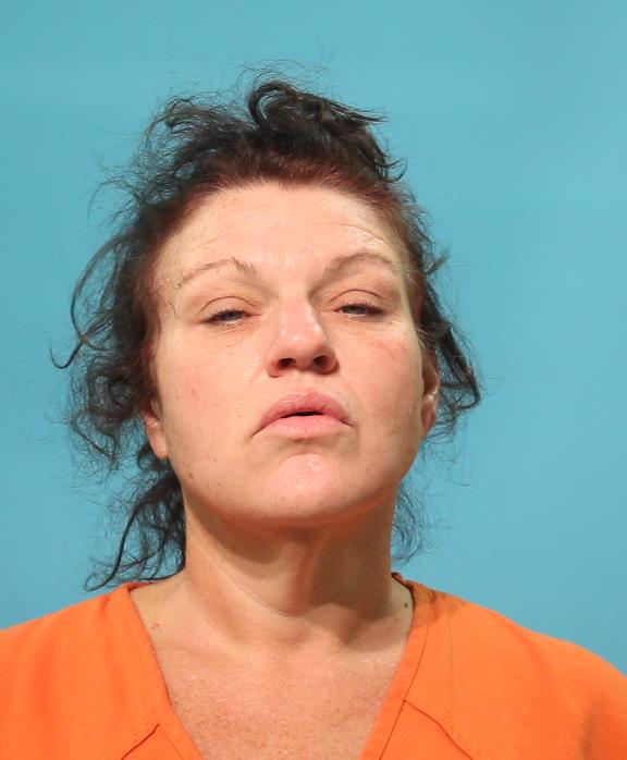 Johnson, Martha Diane booking photo
