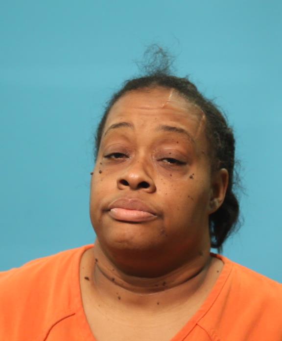 STEEMER, DIANA booking photo