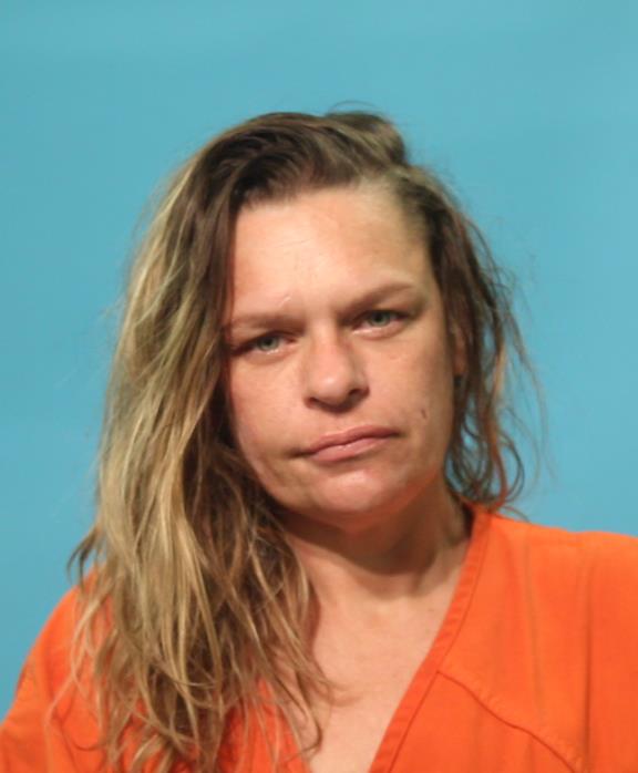 WELCH, JULIE DIANE booking photo