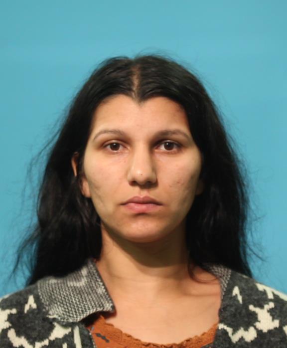 IANCU, LARISA booking photo