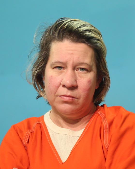 Welhoelter, Shannon Nicole booking photo