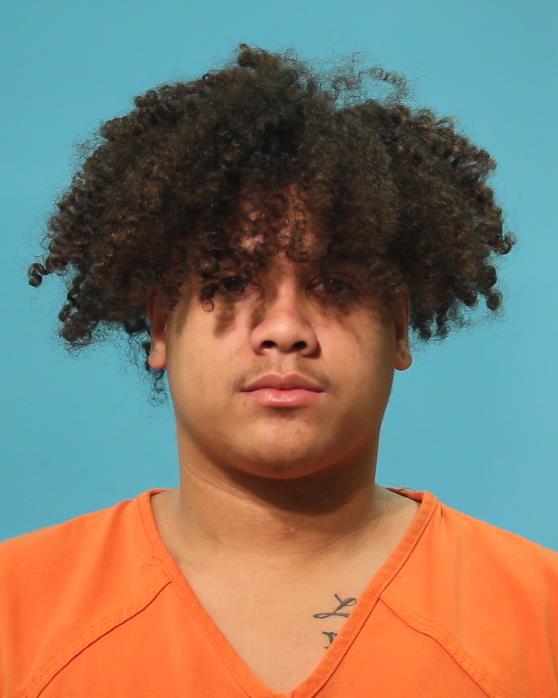 Fields, Lane Mikel booking photo