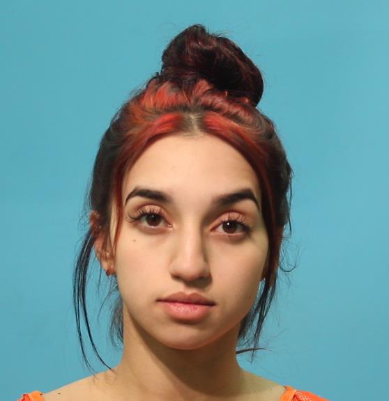 Matei, Elena booking photo