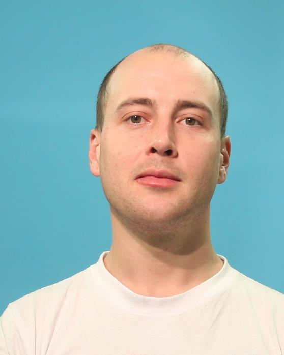 Lofgren, Bryson Harvey booking photo