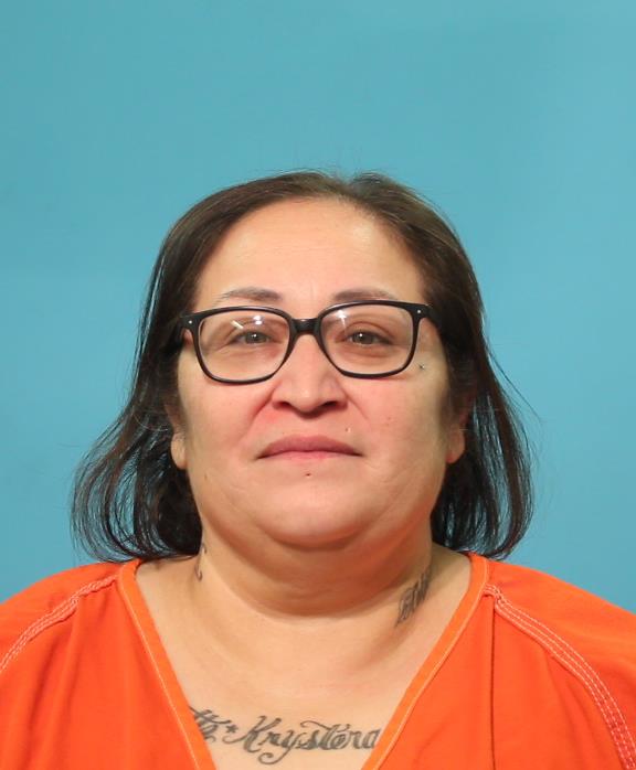 YANEZ, JOANNA JEANETTE booking photo