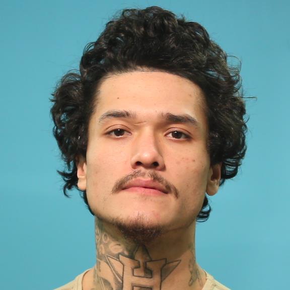 Anderson, Logan Paul booking photo