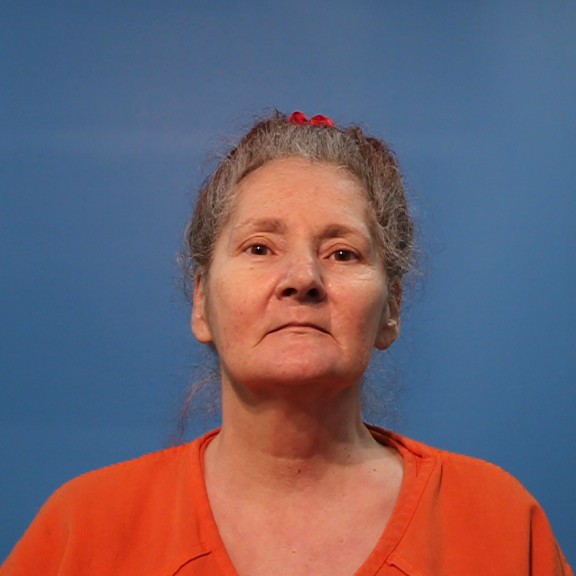 NEWSOM, TERRI booking photo