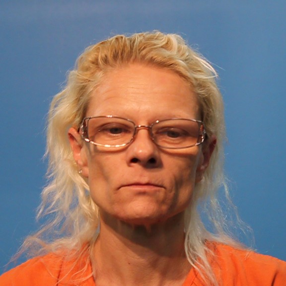 HOLLAENDER, STACIE MARIE arrested by Brazoria County SO/PD