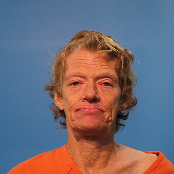 Pettit, Patricia Ann booking photo