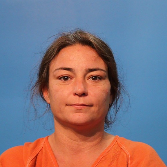 Clark, Shelby Lynn arrested by Brazoria County SO/PD