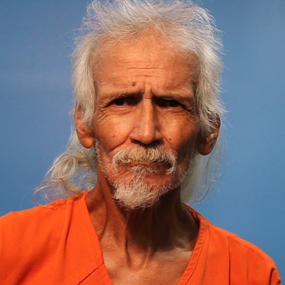 LEDESMA, JOSE LUIS arrested by Brazoria County SO/PD