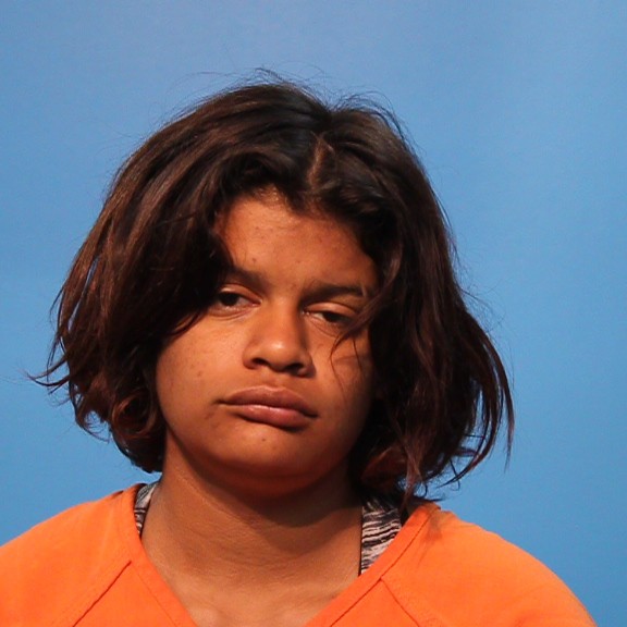 GUILLEN, ANDREA booking photo
