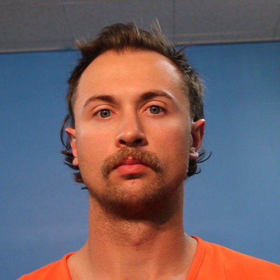 Dahlstrand, Trey James arrested by Brazoria County SO/PD