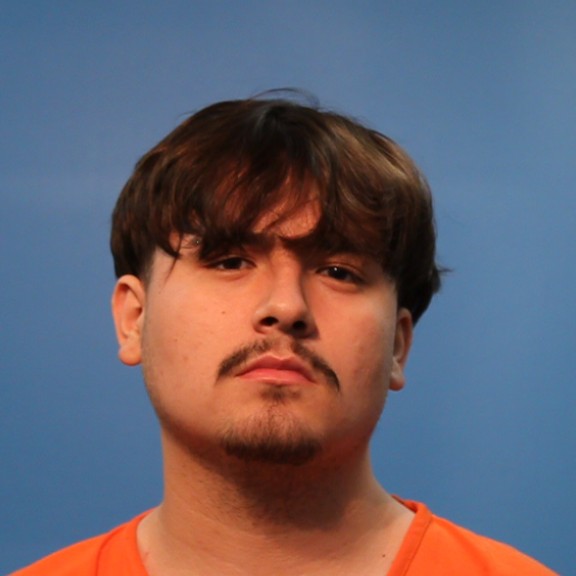 Bushlow, Aiden Daniel arrested by Brazoria County SO/PD