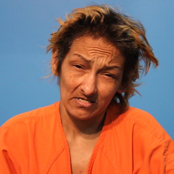 Perez, Veronica Lynn arrested by Brazoria County SO/PD